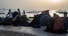 Accra;-Ghana;-Jamestown;-fishing-harbour;-fisherman;-woman;-fish-trader;-pagne;-waiting;-landing;-nets;-backlight;-sunrise;-Ga-Mashie-community;-artisanal-fishing;-womens-role;-daily-life;-Gulf-of-Guinea;-West-Africa;-historic-district;-documentary-photography;-Kaleidos;-Kaleidos-images;-La-parole-à-limage;-Stories-Pictures;-Tarek-ChararaSuite…-Il-y-deux-halls-de-poissonnerie,-lun-pour-les-petits-poissons---vide-et-lautre-pour-les-gros-poissons-où-lon-voit-des-petites-Daurades-etc-La-pêche-nest-pas-très-abondante…0744Catalogué-onze-images-de-marché-aux-poissons-et-quai-portuaireIMAGE-1-—-D-GHA-01641-·-Pêcheur-et-moteur-hors-bordTitre-FR-Pêcheur-et-moteur-Yamaha,-port-de-Jamestown-Titre-EN-Fisherman-and-Yamaha-Outboard,-Jamestown-HarbourLégende-FR-Accra,-Ghana-Port-de-pêche-de-Jamestown,-quartier-de-Jamestown-Un-pêcheur-se-tient-debout-parmi-les-filets-bleus,-un-moteur-hors-bord-Yamaha-au-premier-plan-Dans-la-lumière-dorée-du-lever-du-soleil,-des-dizaines-de-pirogues-sont-à-lancre-sur-le-golfe-de-Guinée-Coexistence-caractéristique-entre-motorisation-moderne-et-pratiques-de-pêche-artisanale-traditionnelleLégende-EN-Accra,-Ghana-Jamestown-Fishing-Harbour,-Jamestown-district-A-fisherman-stands-among-blue-fishing-nets,-Yamaha-outboard-motor-in-the-foreground-In-the-golden-sunrise-light,-dozens-of-pirogues-lie-at-anchor-on-the-Gulf-of-Guinea-A-characteristic-coexistence-of-modern-motorisation-and-traditional-artisanal-fishing-practiceMots-clés-FR-Accra;-Ghana;-Jamestown;-port-de-pêche;-pêcheur;-filets;-moteur-hors-bord;-Yamaha;-pirogue;-lever-du-soleil;-lumière-dorée;-pêche-artisanale;-motorisation;-golfe-de-Guinée;-Afrique-de-lOuest;-quartier-historique;-photographie-documentaire;-Kaleidos;-Kaleidos-images;-La-parole-à-limage;-Stories-Pictures;-Tarek-ChararaKeywords-EN-Accra;-Ghana;-Jamestown;-fishing-harbour;-fisherman;-nets;-outboard-motor;-Yamaha;-pirogue;-sunrise;-golden-light;-artisanal-fishing;-motorisation;-Gulf-of-Guinea;-West-Africa;-historic-district;-documentary-photography;-Kaleidos;-Kaleidos-images;-La-parole-à-limage;-Stories-Pictures;-Tarek-ChararaIMAGE-2-—-D-GHA-01675-·-Femme-mareyeuse-en-attenteTitre-FR-Mareyeuse-attendant-la-pêche,-port-de-Jamestown-Titre-EN-Fish-Trader-Waiting-for-the-Catch,-Jamestown-HarbourLégende-FR-Accra,-Ghana-Port-de-pêche-de-Jamestown,-quartier-de-Jamestown-Une-femme-en-pagne-wax-jaune-et-bleu,-tête-couverte,-est-assise-sur-une-chaise-en-plastique,-un-grand-bassin-métallique-vide-posé-à-ses-pieds-Elle-attend-le-débarquement-de-la-pêche-du-matin-Les-mareyeuses-sont-les-actrices-incontournables-de-la-filière-—-présentes-au-quai-dès-laube,-elles-assurent-la-distribution-et-la-vente-du-poisson-dans-les-marchés-dAccraLégende-EN-Accra,-Ghana-Jamestown-Fishing-Harbour,-Jamestown-district-A-woman-in-yellow-and-blue-wax-print-pagne,-head-covered,-sits-on-plastic-chair-with-an-empty-metal-basin-at-her-feet-She-waits-for-the-morning-catch-to-land-Fish-traders-the-indispensable-players-in-the-supply-chain-—-present-at-the-quay-from-dawn,-they-ensure-fish-distribution-and-sale-throughout-Accras-marketsMots-clés-FR-Accra;-Ghana;-Jamestown;-port-de-pêche;-mareyeuse;-femme;-pagne-wax;-attente;-bassin;-débarquement;-filière-poisson;-communauté-Ga-Mashie;-rôle-des-femmes;-vie-quotidienne;-golfe-de-Guinée;-Afrique-de-lOuest;-quartier-historique;-photographie-documentaire;-Kaleidos;-Kaleidos-images;-La-parole-à-limage;-Stories-Pictures;-Tarek-ChararaKeywords-EN-Accra;-Ghana;-Jamestown;-fishing-harbour;-fish-trader;-woman;-wax-print-pagne;-waiting;-basin;-landing;-fish-supply-chain;-Ga-Mashie-community;-womens-role;-daily-life;-Gulf-of-Guinea;-West-Africa;-historic-district;-documentary-photography;-Kaleidos;-Kaleidos-images;-La-parole-à-limage;-Stories-Pictures;-Tarek-ChararaIMAGE-3-—-D-GHA-01686-·-Flotte-de-pirogues-serréesTitre-FR-Flotte-de-pirogues-à-lancre,-port-de-Jamestown-Titre-EN-Fleet-of-Pirogues-at-Anchor,-Jamestown-HarbourLégende-FR-Accra,-Ghana-Port-de-pêche-de-Jamestown,-quartier-de-Jamestown-Une-dense-forêt-de-mâts-et-de-drapeaux-se-dresse-au-dessus-des-pirogues-de-pêche-serrées-les-unes-contre-les-autres-dans-le-port-La-skyline-dAccra-émerge-dans-la-brume-en-arrière-plan-Image-de-la-densité-et-de-la-vitalité-dune-flotte-artisanale-qui-compte-parmi-les-plus-importantes-de-la-côte-ghanéenneLégende-EN-Accra,-Ghana-Jamestown-Fishing-Harbour,-Jamestown-district-A-dense-forest-of-masts-and-flags-rises-above-closely-packed-fishing-pirogues-in-the-harbour-The-Accra-skyline-emerges-through-the-haze-in-the-background-An-image-of-the-density-and-vitality-of-an-artisanal-fleet-that-ranks-among-the-largest-on-the-Ghanaian-coastMots-clés-FR-Accra;-Ghana;-Jamestown;-port-de-pêche;-flotte;-pirogue;-mâts;-drapeaux;-densité;-skyline;-brume;-pêche-artisanale;-communauté-de-pêcheurs;-golfe-de-Guinée;-Afrique-de-lOuest;-quartier-historique;-photographie-documentaire;-Kaleidos;-Kaleidos-images;-La-parole-à-limage;-Stories-Pictures;-Tarek-ChararaKeywords-EN-Accra;-Ghana;-Jamestown;-fishing-harbour;-fleet;-pirogue;-masts;-flags;-density;-skyline;-haze;-artisanal-fishing;-fishing-community;-Gulf-of-Guinea;-West-Africa;-historic-district;-documentary-photography;-Kaleidos;-Kaleidos-images;-La-parole-à-limage;-Stories-Pictures;-Tarek-ChararaIMAGE-4-—-D-GHA-01691-·-Marché-informel-dans-la-cour-du-portTitre-FR-Marché-informel-dans-la-cour-du-nouveau-port,-Jamestown-Titre-EN-Informal-Market-in-the-New-Harbour-Yard,-JamestownLégende-FR-Accra,-Ghana-Port-de-pêche-de-Jamestown,-quartier-de-Jamestown-Entre-les-bâtiments-blancs-du-nouveau-complexe-portuaire-inauguré-en-2024,-un-marché-informel-sest-installé-dans-la-cour-vendeurs,-acheteurs-et-bassins-de-poisson-sorganisent-spontanément-sur-le-béton-À-larrière-plan,-les-bâtiments-coloniaux-et-les-falaises-rocheuses-du-vieux-Jamestown-surplombent-lensembleLégende-EN-Accra,-Ghana-Jamestown-Fishing-Harbour,-Jamestown-district-Between-the-white-buildings-of-the-new-port-complex-inaugurated-in-2024,-an-informal-market-has-taken-hold-in-the-yard-sellers,-buyers-and-fish-basins-organise-spontaneously-on-the-concrete-In-the-background,-the-colonial-buildings-and-rocky-cliffs-of-old-Jamestown-overlook-the-sceneMots-clés-FR-Accra;-Ghana;-Jamestown;-port-de-pêche;-marché-informel;-cour;-nouveau-port;-vendeurs;-poisson;-coopération-sino-ghanéenne;-bâtiments-coloniaux;-falaise;-vie-quotidienne;-économie-informelle;-golfe-de-Guinée;-Afrique-de-lOuest;-quartier-historique;-photographie-documentaire;-Kaleidos;-Kaleidos-images;-La-parole-à-limage;-Stories-Pictures;-Tarek-ChararaKeywords-EN-Accra;-Ghana;-Jamestown;-fishing-harbour;-informal-market;-yard;-new-harbour;-sellers;-fish;-Sino-Ghanaian-cooperation;-colonial-buildings;-cliff;-daily-life;-informal-economy;-Gulf-of-Guinea;-West-Africa;-historic-district;-documentary-photography;-Kaleidos;-Kaleidos-images;-La-parole-à-limage;-Stories-Pictures;-Tarek-ChararaIMAGE-5-—-D-GHA-01680-·-Plage,-pirogues-et-pêcheursTitre-FR-Pêcheurs-entre-les-pirogues,-plage-de-Jamestown-Titre-EN-Fishermen-Among-the-Pirogues,-Jamestown-BeachLégende-FR-Accra,-Ghana-Plage-de-Jamestown,-quartier-de-Jamestown-Des-pêcheurs-marchent-entre-les-proues-des-pirogues-multicolores-échouées-sur-le-sable,-dont-lune-porte-linscription-La-Jah-En-arrière-plan,-des-centaines-dembarcations-sont-alignées-le-long-de-la-digue-Les-noms-mêlant-références-religieuses-chrétiennes-et-rastafariennes-sont-courants-sur-les-bateaux-des-pêcheurs-ghanéensLégende-EN-Accra,-Ghana-Jamestown-beach,-Jamestown-district-Fishermen-walk-between-the-prows-of-colourful-pirogues-beached-on-the-sand,-one-bearing-the-inscription-La-Jah-In-the-background,-hundreds-of-vessels-line-the-breakwater-Names-mixing-Christian-and-Rastafarian-religious-references-common-on-Ghanaian-fishing-boatsMots-clés-FR-Accra;-Ghana;-Jamestown;-plage;-pirogue;-pêcheurs;-proue;-La-Jah;-inscription;-référence-religieuse;-rastafari;-sable;-digue;-pêche-artisanale;-communauté-de-pêcheurs;-vie-quotidienne;-golfe-de-Guinée;-Afrique-de-lOuest;-quartier-historique;-photographie-documentaire;-Kaleidos;-Kaleidos-images;-La-parole-à-limage;-Stories-Pictures;-Tarek-ChararaKeywords-EN-Accra;-Ghana;-Jamestown;-beach;-pirogue;-fishermen;-prow;-La-Jah;-inscription;-religious-reference;-Rastafarian;-sand;-breakwater;-artisanal-fishing;-fishing-community;-daily-life;-Gulf-of-Guinea;-West-Africa;-historic-district;-documentary-photography;-Kaleidos;-Kaleidos-images;-La-parole-à-limage;-Stories-Pictures;-Tarek-ChararaIMAGE-7-—-D-GHA-01658-·-Mareyeuses-face-au-portTitre-FR-Mareyeuses-attendant-le-débarquement,-port-de-Jamestown-Titre-EN-Fish-Traders-Awaiting-the-Landing,-Jamestown-HarbourLégende-FR-Accra,-Ghana-Port-de-pêche-de-Jamestown,-quartier-de-Jamestown-Contre-jour-au-lever-du-soleil-plusieurs-femmes-assises-sur-des-chaises-en-plastique-font-face-au-port,-attendant-larrivée-des-pirogues-Lune-delles-traverse-le-cadre,-un-bassin-en-équilibre-sur-la-tête-Leurs-longues-ombres-sétirent-sur-le-béton-du-quai-Scène-quotidienne-de-léconomie-du-poisson-à-Jamestown,-où-les-femmes-contrôlent-traditionnellement-la-commercialisation-de-la-pêcheLégende-EN-Accra,-Ghana-Jamestown-Fishing-Harbour,-Jamestown-district-Backlit-at-sunrise-several-women-seated-on-plastic-chairs-face-the-harbour,-waiting-for-the-pirogues-to-arrive-One-crosses-the-frame,-basin-balanced-on-her-head-Their-long-shadows-stretch-across-the-concrete-quay-A-daily-scene-of-Jamestowns-fish-economy,-where-women-traditionally-control-the-commercialisation-of-the-catchMots-clés-FR-Accra;-Ghana;-Jamestown;-port-de-pêche;-mareyeuses;-femmes;-attente;-débarquement;-contre-jour;-lever-du-soleil;-ombres;-bassin;-chaises-plastique;-économie-du-poisson;-rôle-des-femmes;-communauté-Ga-Mashie;-pêche-artisanale;-vie-quotidienne;-golfe-de-Guinée;-Afrique-de-lOuest;-photographie-documentaire;-Kaleidos;-Kaleidos-images;-La-parole-à-limage;-Stories-Pictures;-Tarek-ChararaKeywords-EN-Accra;-Ghana;-Jamestown;-fishing-harbour;-fish-traders;-women;-waiting;-landing;-backlight;-sunrise;-shadows;-basin;-plastic-chairs;-fish-economy;-womens-role;-Ga-Mashie-community;-artisanal-fishing;-daily-life;-Gulf-of-Guinea;-West-Africa;-documentary-photography;-Kaleidos;-Kaleidos-images;-La-parole-à-limage;-Stories-Pictures;-Tarek-ChararaIMAGE-8-—-D-GHA-01644-·-Halle-aux-petits-poissons-—-videTitre-FR-Halle-aux-petits-poissons-vide,-marché-du-port-de-Jamestown-Titre-EN-Empty-Small-Fish-Hall,-Jamestown-Harbour-MarketLégende-FR-Accra,-Ghana-Marché-aux-poissons-du-port-de-Jamestown,-quartier-de-Jamestown-La-halle-aux-petits-poissons-du-marché-inauguré-en-2024-est-déserte-des-dizaines-détals-en-béton-numérotés-salignent-sans-vendeurs-ni-marchandise-sous-la-charpente-métallique-Conçu-pour-accueillir-200-vendeurs-par-jour,-le-marché-peine-encore-à-trouver-son-rythme-face-à-la-concurrence-des-circuits-de-vente-informels-installés-de-longue-date-à-JamestownLégende-EN-Accra,-Ghana-Jamestown-Harbour-fish-market,-Jamestown-district-The-small-fish-hall-of-the-market-inaugurated-in-2024-stands-empty-dozens-of-numbered-concrete-stalls-line-up-without-vendors-or-produce-beneath-the-metal-roof-structure-Designed-to-accommodate-200-sellers-per-day,-the-market-has-yet-to-find-its-rhythm-against-the-competition-of-informal-sales-networks-long-established-in-JamestownMots-clés-FR-Accra;-Ghana;-Jamestown;-marché-aux-poissons;-halle;-petits-poissons;-vide;-étals;-béton;-nouveau-port;-coopération-sino-ghanéenne;-économie-informelle;-contraste;-infrastructure;-photographie-documentaire;-golfe-de-Guinée;-Afrique-de-lOuest;-quartier-historique;-Kaleidos;-Kaleidos-images;-La-parole-à-limage;-Stories-Pictures;-Tarek-ChararaKeywords-EN-Accra;-Ghana;-Jamestown;-fish-market;-hall;-small-fish;-empty;-stalls;-concrete;-new-harbour;-Sino-Ghanaian-cooperation;-informal-economy;-contrast;-infrastructure;-documentary-photography;-Gulf-of-Guinea;-West-Africa;-historic-district;-Kaleidos;-Kaleidos-images;-La-parole-à-limage;-Stories-Pictures;-Tarek-ChararaIMAGES-6,-9,-10-—-D-GHA-01656-D-GHA-01651-D-GHA-01650-·-Halle-aux-gros-poissons-—-pêche-peu-abondanteTitre-FR-Halle-aux-gros-poissons,-marché-du-port-de-Jamestown-Titre-EN-Large-Fish-Hall,-Jamestown-Harbour-MarketLégende-FR-Accra,-Ghana-Marché-aux-poissons-du-port-de-Jamestown,-quartier-de-Jamestown-Dans-la-halle-aux-gros-poissons-du-marché-inauguré-en-2024,-quelques-daurades-et-vivaneaux-rouges-sont-présentés-sur-des-plateaux-posés-sur-les-étals-en-granit-numérotés-—-témoignage-dune-pêche-peu-abondante-ce-matin-là-Limmensité-de-la-salle,-prévue-pour-200-vendeurs,-contraste-avec-la-rareté-des-étals-occupés,-reflet-des-difficultés-de-la-pêche-artisanale-dans-le-golfe-de-GuinéeLégende-EN-Accra,-Ghana-Jamestown-Harbour-fish-market,-Jamestown-district-In-the-large-fish-hall-of-the-market-inaugurated-in-2024,-few-sea-bream-and-red-snappers-displayed-on-plates-set-on-numbered-granite-counters-—-evidence-of-sparse-catch-that-morning-The-vast-hall,-designed-for-200-sellers,-contrasts-with-the-scarcity-of-occupied-stalls,-reflecting-the-challenges-facing-artisanal-fishing-in-the-Gulf-of-GuineaMots-clés-FR-Accra;-Ghana;-Jamestown;-marché-aux-poissons;-halle;-gros-poissons;-daurade;-vivaneau-rouge;-pêche-peu-abondante;-étals;-granit;-nouveau-port;-coopération-sino-ghanéenne;-pêche-artisanale;-golfe-de-Guinée;-économie;-Afrique-de-lOuest;-quartier-historique;-photographie-documentaire;-Kaleidos;-Kaleidos-images;-La-parole-à-limage;-Stories-Pictures;-Tarek-ChararaKeywords-EN-Accra;-Ghana;-Jamestown;-fish-market;-hall;-large-fish;-sea-bream;-red-snapper;-sparse-catch;-stalls;-granite;-new-harbour;-Sino-Ghanaian-cooperation;-artisanal-fishing;-Gulf-of-Guinea;-economy;-West-Africa;-historic-district;-documentary-photography;-Kaleidos;-Kaleidos-images;-La-parole-à-limage;-Stories-Pictures;-Tarek-ChararaIMAGE-11-—-D-GHA-01642-·-Repos-sur-les-filetsTitre-FR-Repos-sur-les-filets,-port-de-Jamestown-Titre-EN-Resting-on-the-Nets,-Jamestown-HarbourLégende-FR-Accra,-Ghana-Port-de-pêche-de-Jamestown,-quartier-de-Jamestown-Un-homme-et-un-jeune-garçon-se-reposent-allongés-sur-un-amas-de-filets-bleus-à-flotteurs-blancs,-sur-le-quai-du-port-inauguré-en-2024-Les-bâtiments-du-nouveau-complexe-portuaire-financé-par-la-Chine-sont-visibles-en-arrière-plan-Image-de-la-pause-et-de-la-fatigue-dans-la-vie-dun-port-artisanal-en-activité-depuis-laubeLégende-EN-Accra,-Ghana-Jamestown-Fishing-Harbour,-Jamestown-district-A-man-and-young-boy-lie-resting-on-heap-of-blue-nets-with-white-floats-on-the-quay-of-the-harbour-inaugurated-in-2024-The-buildings-of-the-Chinese-funded-port-complex-visible-in-the-background-An-image-of-rest-and-exhaustion-in-the-life-of-an-artisanal-harbour-active-since-dawnMots-clés-FR-Accra;-Ghana;-Jamestown;-port-de-pêche;-filets;-flotteurs;-repos;-fatigue;-homme;-enfant;-quai;-nouveau-port;-coopération-sino-ghanéenne;-pêche-artisanale;-vie-quotidienne;-golfe-de-Guinée;-Afrique-de-lOuest;-quartier-historique;-photographie-documentaire;-Kaleidos;-Kaleidos-images;-La-parole-à-limage;-Stories-Pictures;-Tarek-ChararaKeywords-EN-Accra;-Ghana;-Jamestown;-fishing-harbour;-nets;-floats;-rest;-exhaustion;-man;-child;-quay;-new-harbour;-Sino-Ghanaian-cooperation;-artisanal-fishing;-daily-life;-Gulf-of-Guinea;-West-Africa;-historic-district;-documentary-photography;-Kaleidos;-Kaleidos-images;-La-parole-à-limage;-Stories-Pictures;-Tarek-Charara